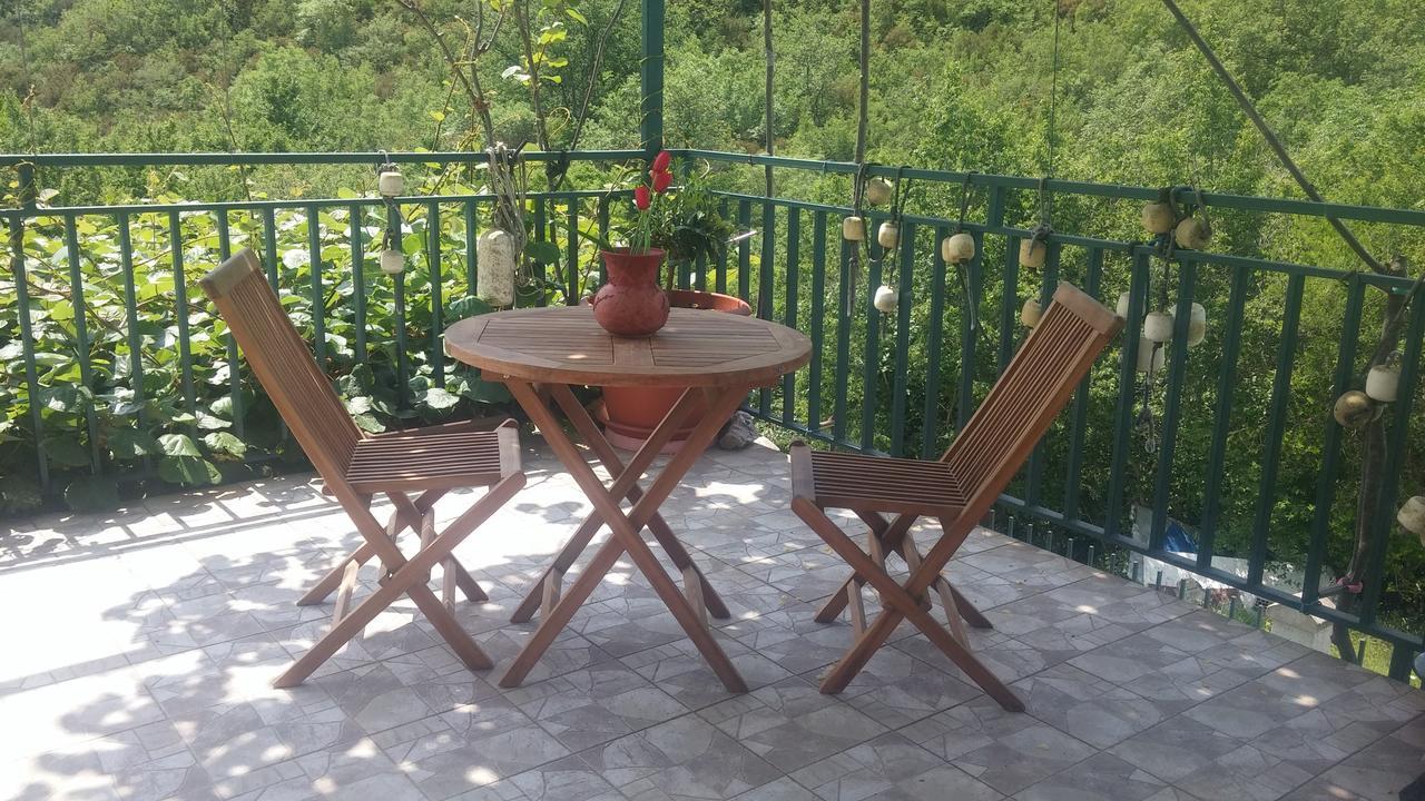 Danijela Apartmani Canj Luaran gambar