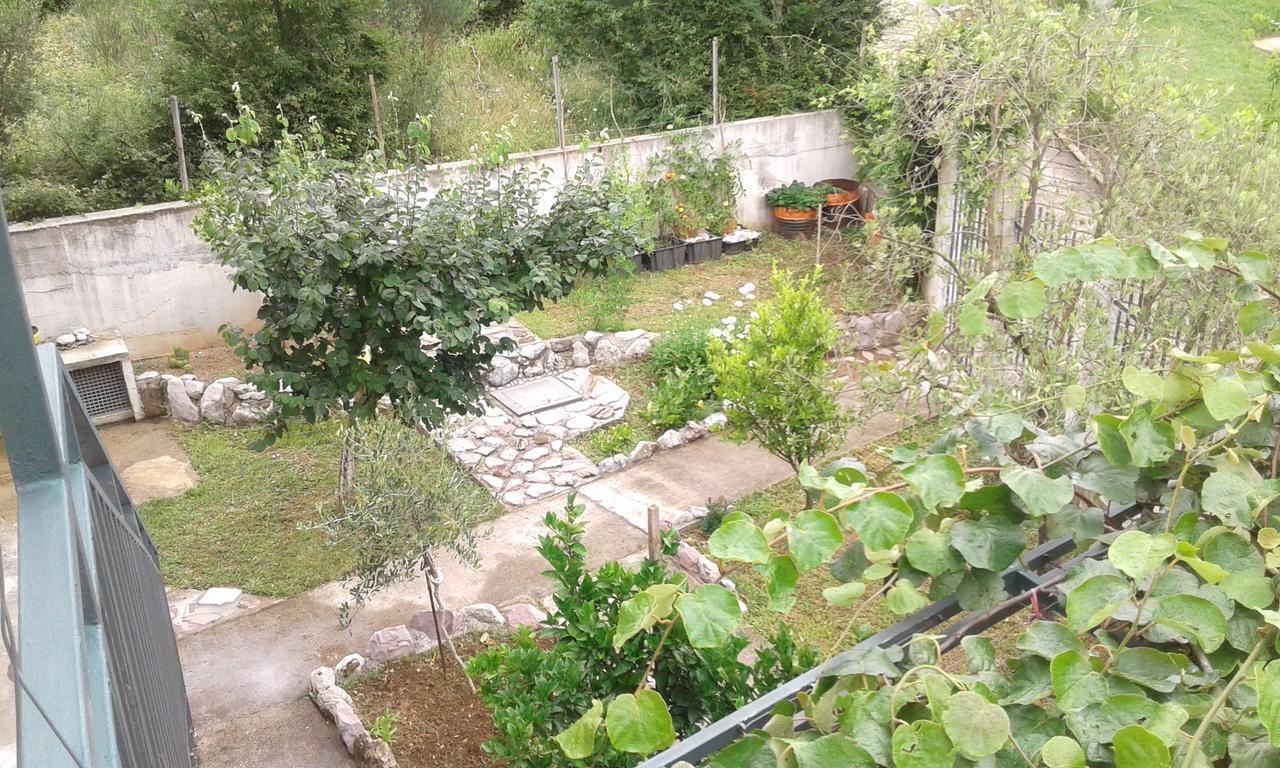 Danijela Apartmani Canj Luaran gambar