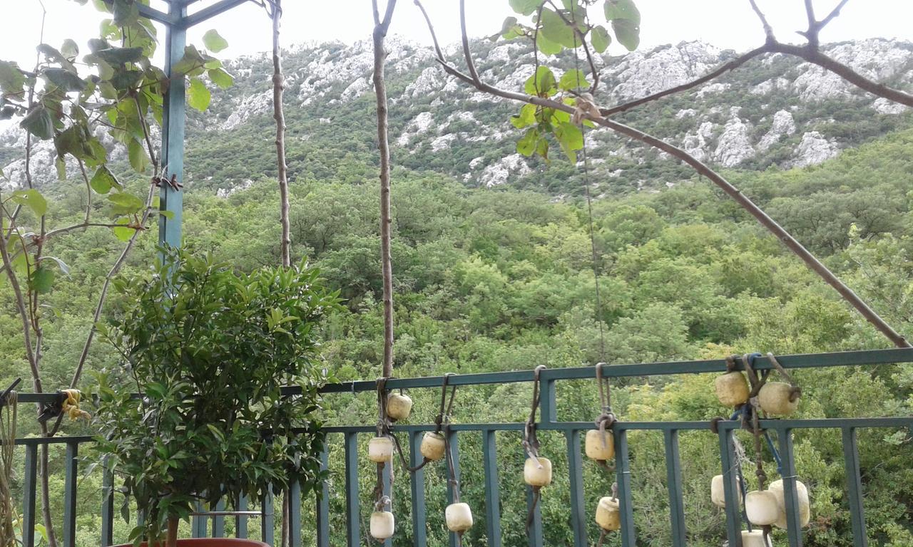 Danijela Apartmani Canj Luaran gambar